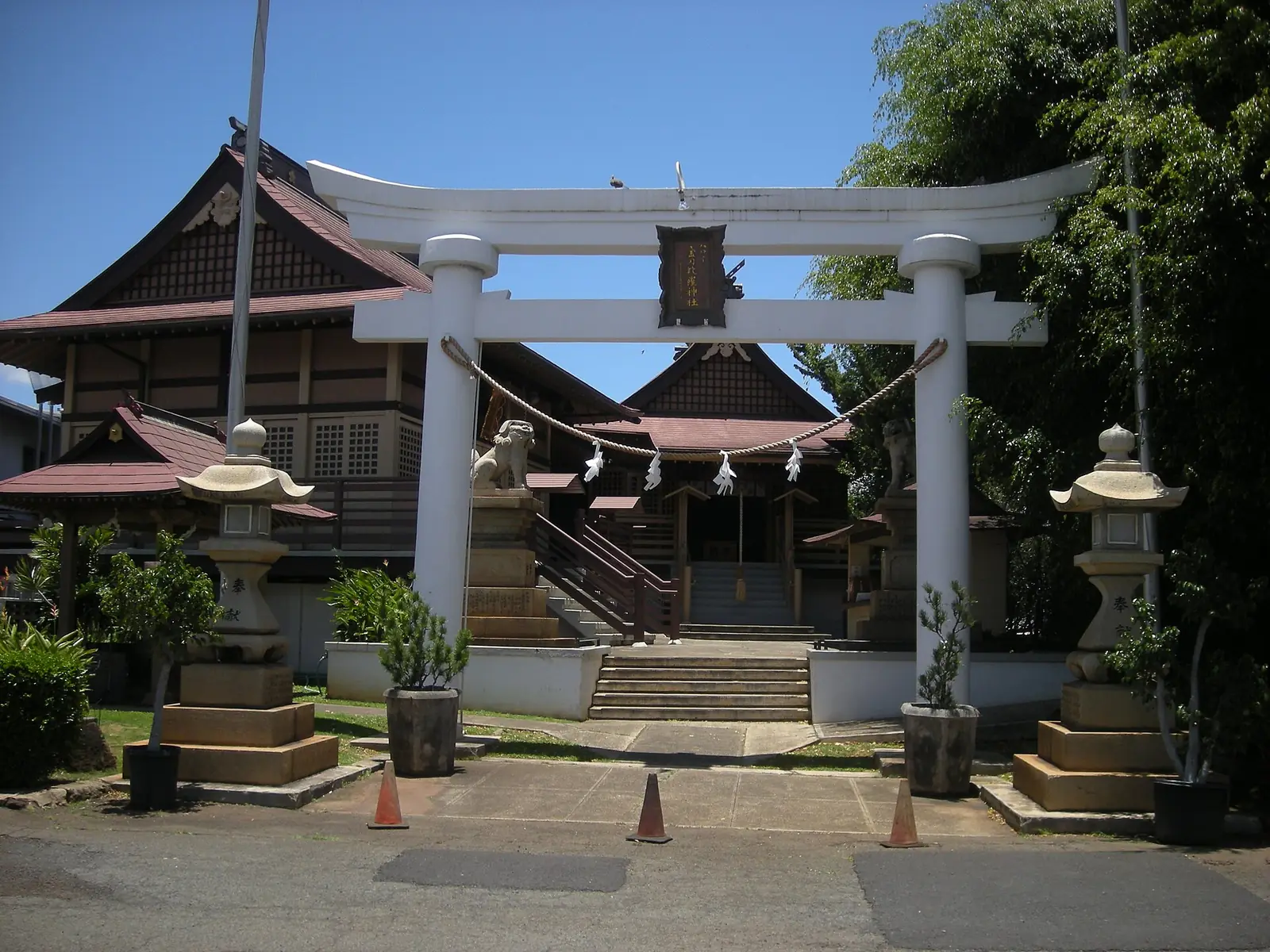 白い鳥居の奥に社殿が見える神社の境内